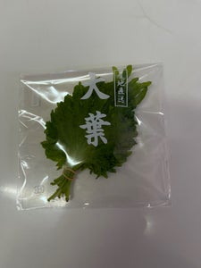 大洋 大葉 M 1束用袋