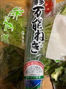 JA福岡 博多万能ねぎ 100g