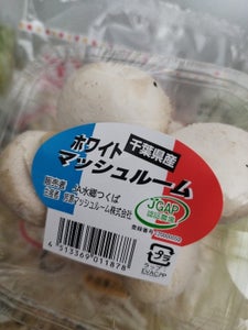 芳源 マッシュルーム 100g