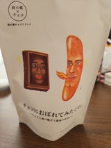 豊上製菓 チョコにおぼれてみたくて 10個