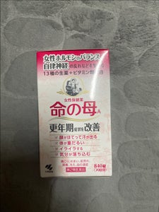 命の母A 840錠