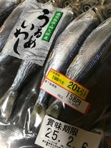 かねこ ウルメイワシ丸干し 8尾