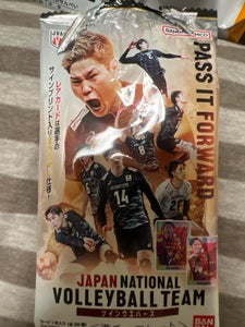 バンダイ JAPANVOLLEYBALLTEAM