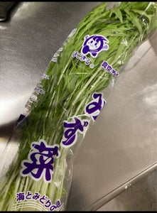 JA全農いばらき みず菜 200g