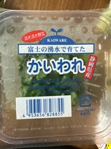 東富士 かいわれ S