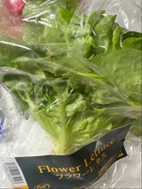 グッドリーフ フラワーレタス 1玉