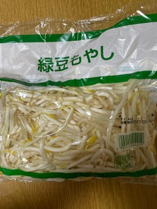 緑豆もやし