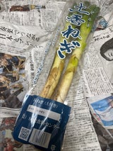 房総食料センター ながねぎ 500g