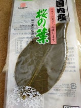 坂口 桜の葉 10枚