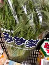 ふくしま未来 みずな 相馬 1P