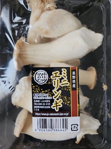 JA長野 エリンギ 100g