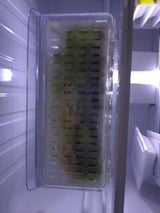 カネイ サニーレタス