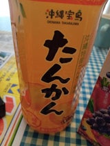 沖縄 素材活力たんかん 500ml