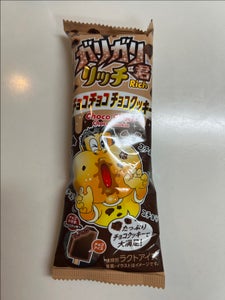 ガリガリ君リッチ チョコチョコクッキー 100ml