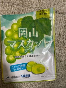 カネカ食品 岡山マスカットグミ 40g