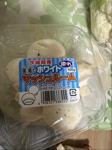 JA茨城 マッシュルーム 100g