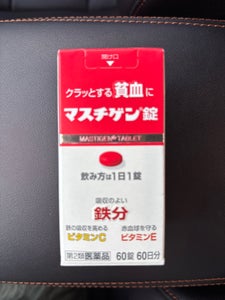 マスチゲン錠 60錠