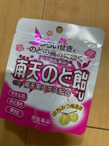 南天のど飴U 22錠
