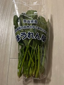牧包装 ほうれんそう奈良産用袋 1P