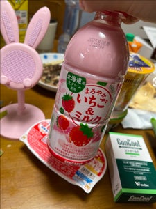 サンガリア まろやかいちご&ミルク 500ml