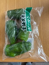 アグリ ピーマン宮崎県産 150g