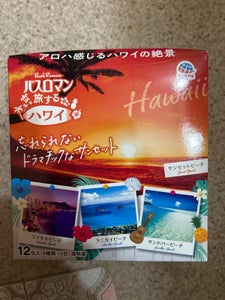 アース製薬 スロマン 旅するハワイ 12包