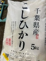 中村商店 千葉県産 コシヒカリ 5kg