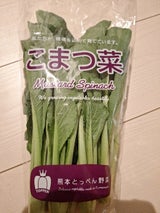 熊果 こまつな 1P