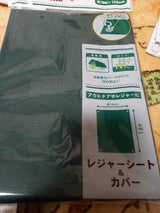 エコー レジャーシート&カバー 1P