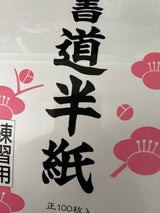 ニチリウ レンシユウヨウ ハンシ 100マイ