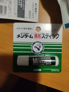 メンターム 薬用スティック レギュラー 5g