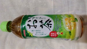 サンガリア 一休茶屋すばらしいお茶 500×24