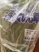 JA京都 ほうれん草 1P