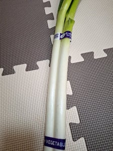 橋本青果 鳥取産白葱 300g