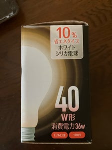 武田 ホワイトシリカ電球40W 1P