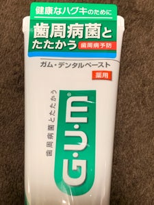 ガム デンタルペーストST 120g