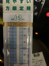 レイメイ 見やすい方眼定規 15cm