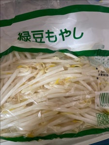 緑豆もやし