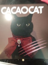 ダダカ CACAOCAT缶ミックスBROWN 8個