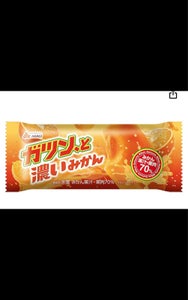 赤城乳業 ガツンと濃いみかん 90ml
