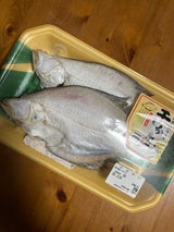 橋本 宗八かれい 2尾