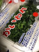 グリーンG かいわれ