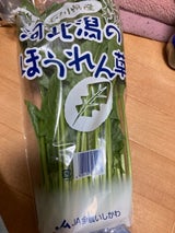 JA石川 石川県産河北潟ほうれんそう 袋