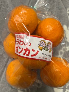 ユーシーポリマー バーコード付トップネット