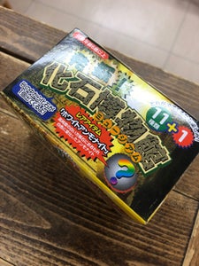 久野貿易商会 発掘化石ミュージアム 砂の中の宝物