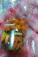 都城大同青果 完熟金柑 250g