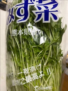 精工 みず菜用袋