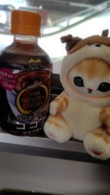 バンホーテンココア ペットボトル