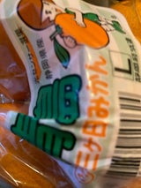 名織 青島みかん三ケ日袋 1P