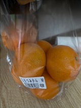 JAながみね 蔵出しみかんM 1P